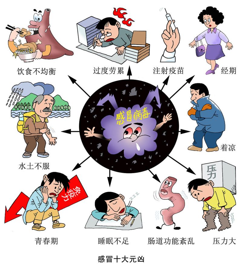 空气净化器活性炭-图1 空气净化器活性炭-图1